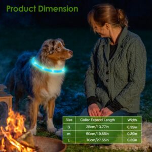 LED Dog Collar – Universal 2-in-1 USB Rechargeable Safety Light