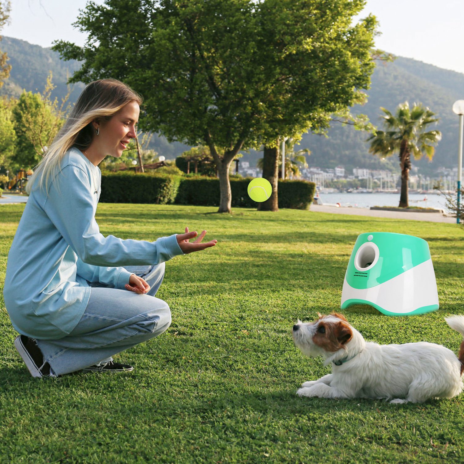 Dog Ball Launcher β Interactive Automatic Tennis Ball Thrower - Image 3