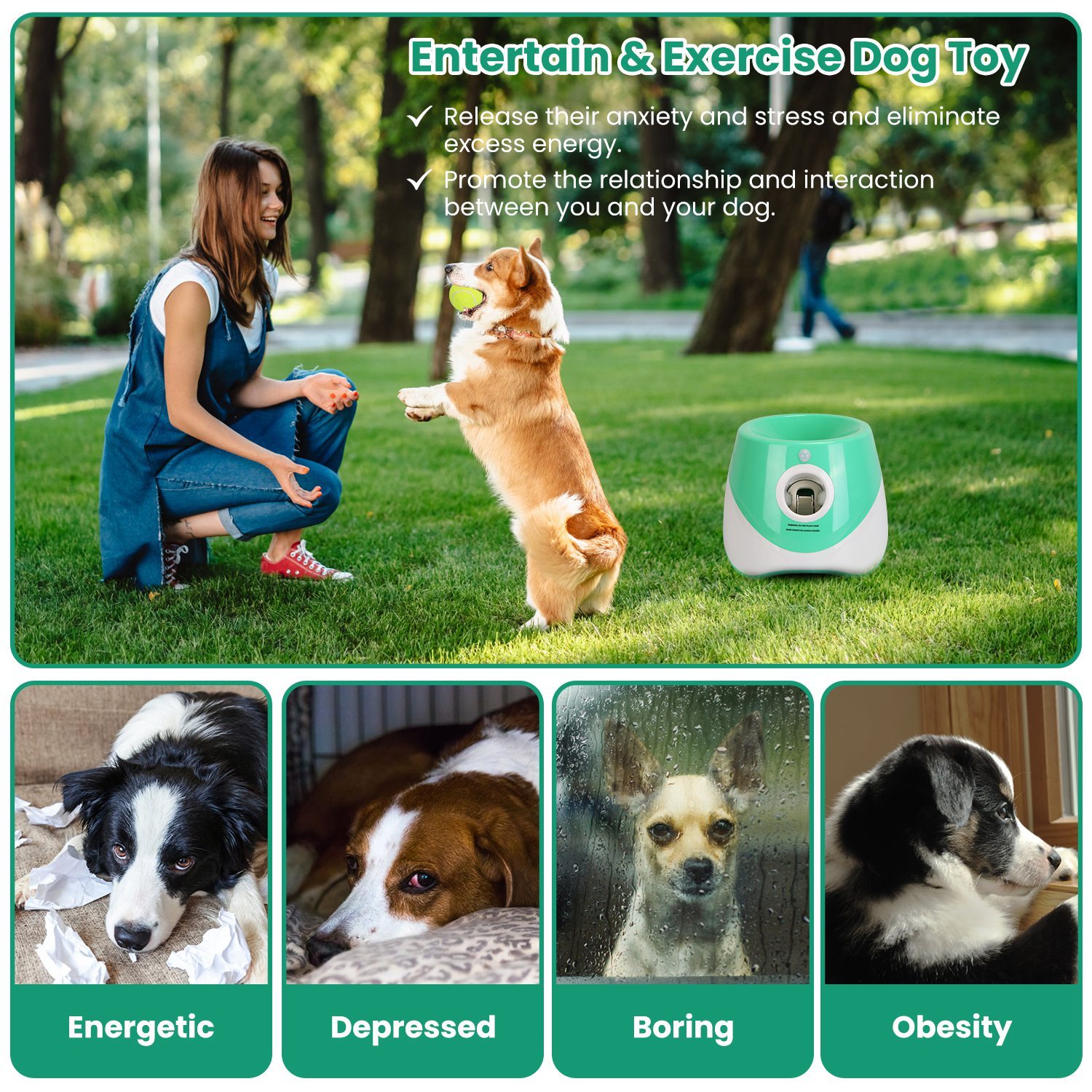 Dog Ball Launcher β Interactive Automatic Tennis Ball Thrower - Image 4