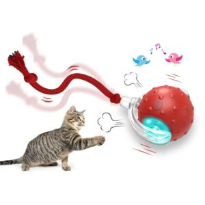 Interactive Cat Toy Ball – Smart Rolling Drive Chasing Toy